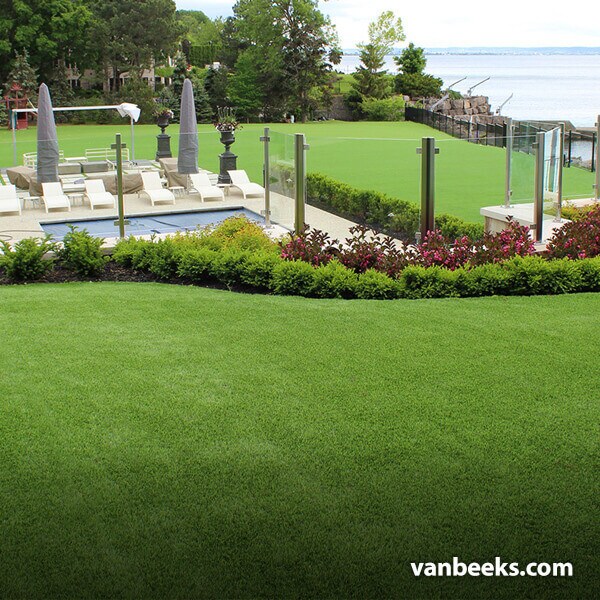 AGL Saratoga 60 Turf Preview